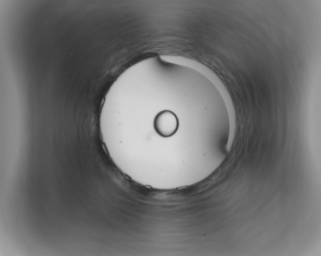 X0000110930568200907161541