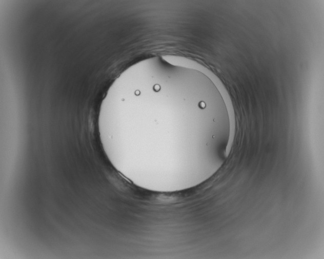 X0000110930570200907161541