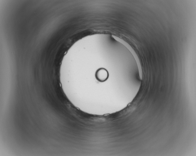 X0000110930572200907161541