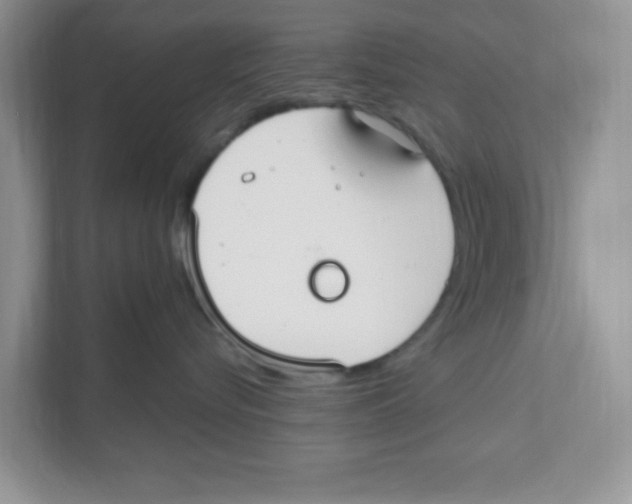X0000110930576200907161541