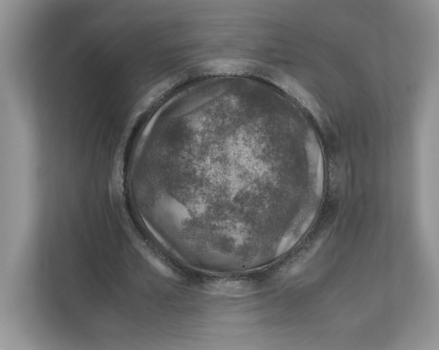 X0000110930581200907161541