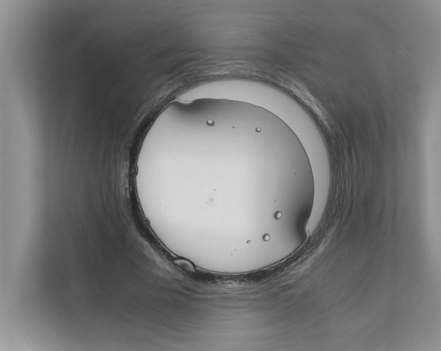 X0000110930585200907161541