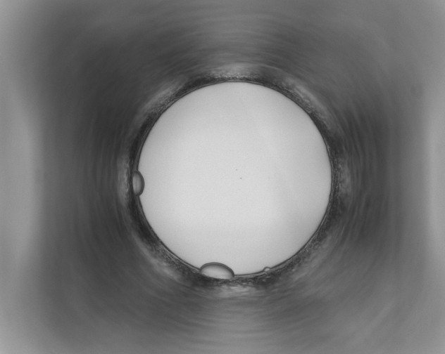 X0000110930586200907161541