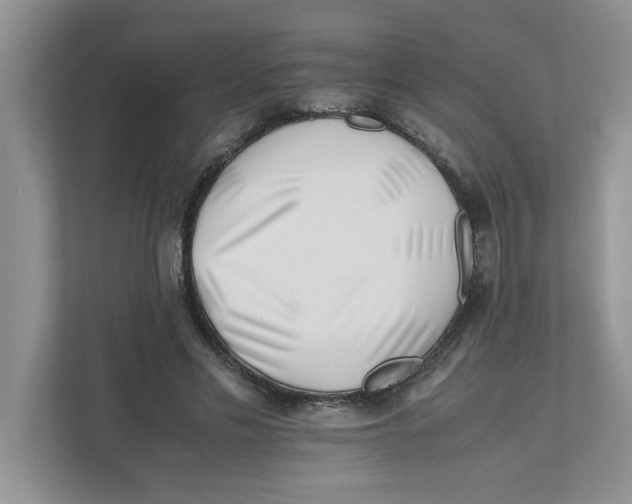 X0000110930589200907161541