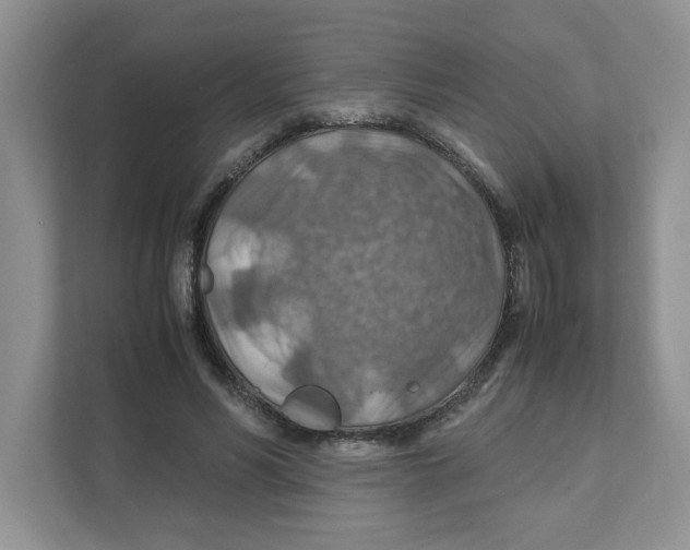 X0000110930590200907161541