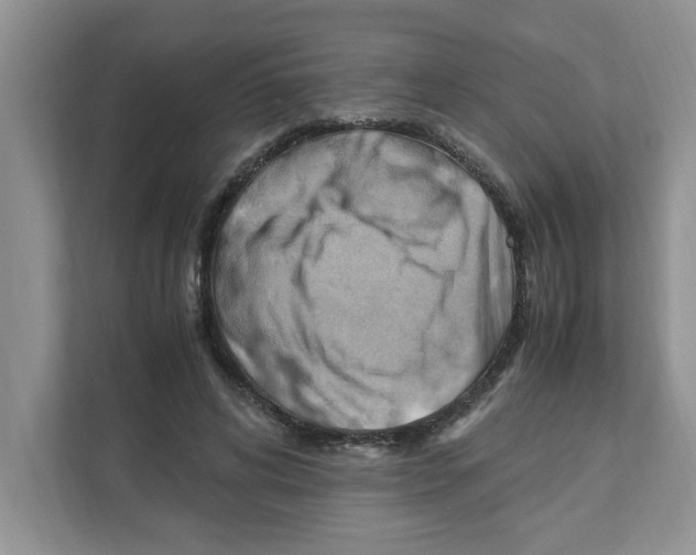 X0000110930592200907161541