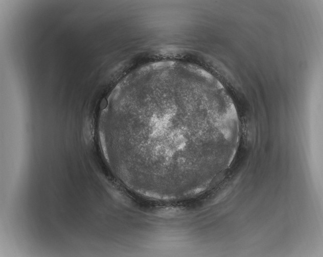 X0000110930593200907161541