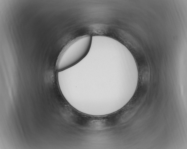 X0000110930595200907161541