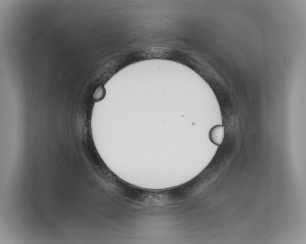X0000110930599200907161541