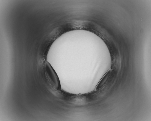 X0000110930601200907161540