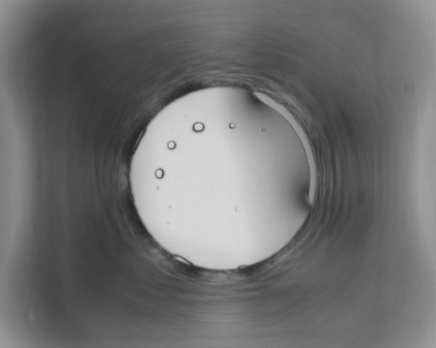 X0000110930621200907161540