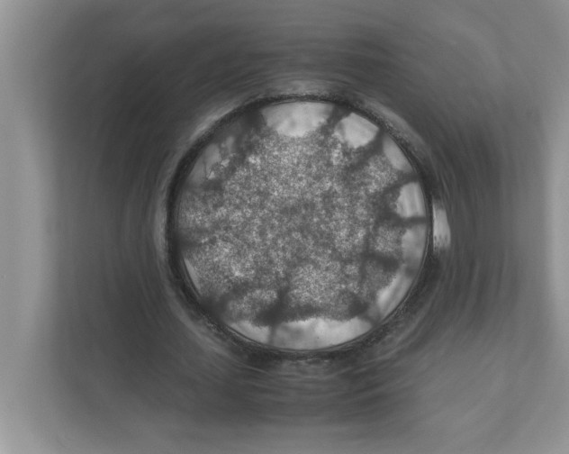 X0000110930627200907161540