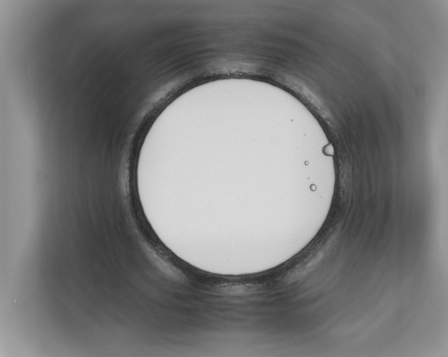 X0000110930629200907161540