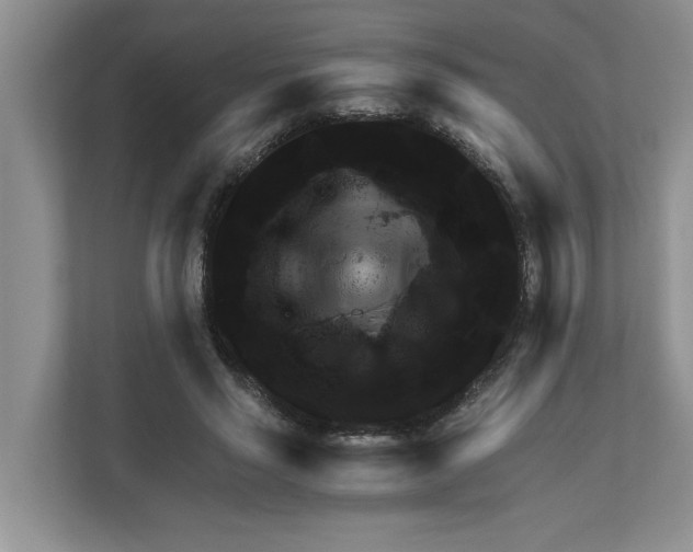 X0000110930637200907161540
