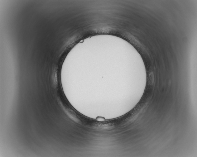 X0000110930638200907161540