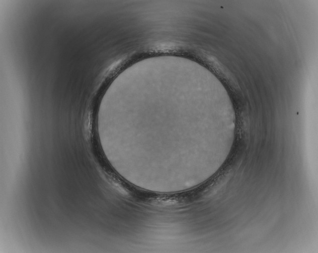 X0000110930640200907161540