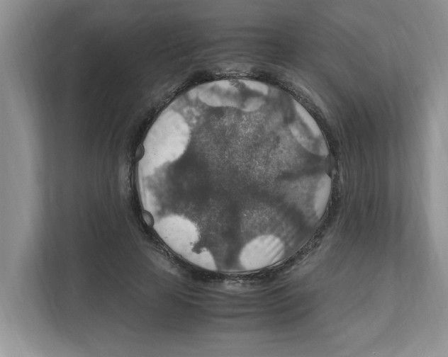 X0000110930641200907161540
