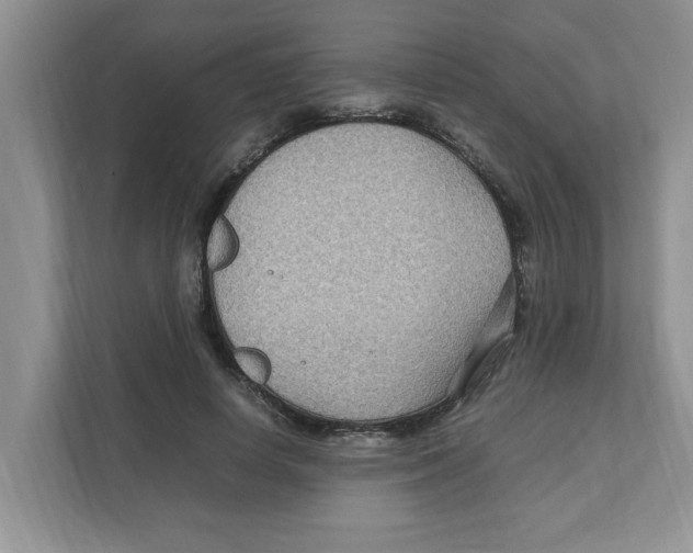 X0000110930642200907161540