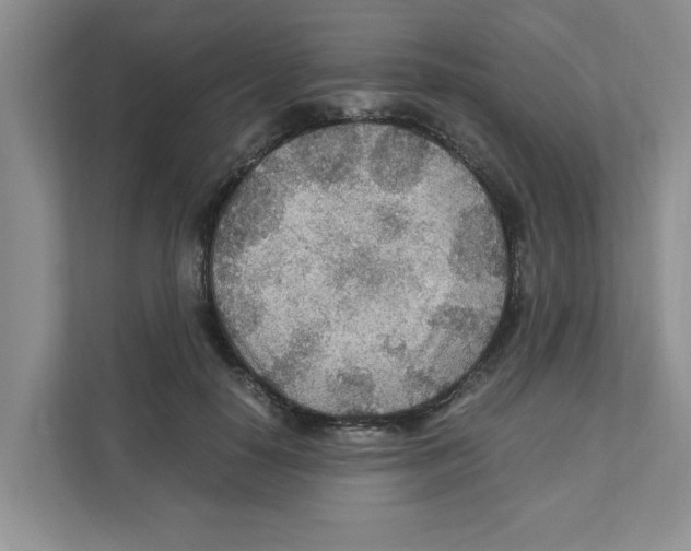 X0000110930650200907161540