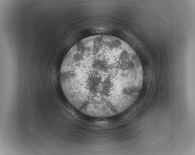 X0000110930653200907161540