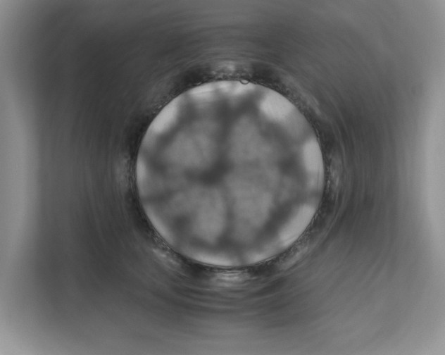 X0000110930659200907161540
