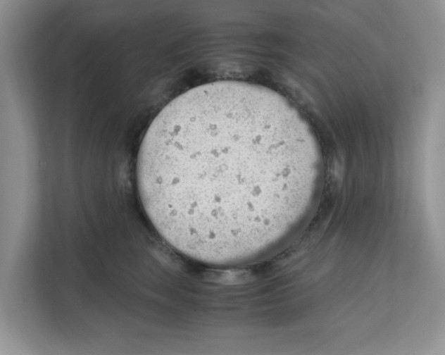 X0000110930663200907161540