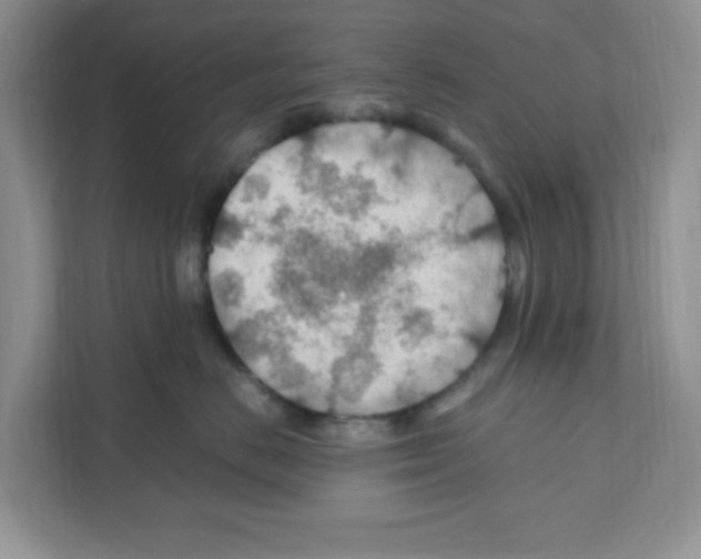 X0000110930670200907161540