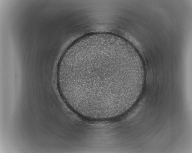 X0000110930673200907161540