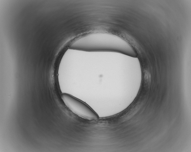 X0000110930676200907161540