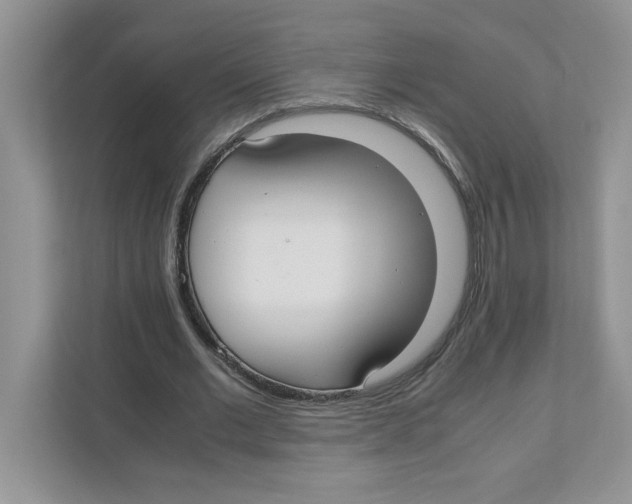 X0000110930677200907161540