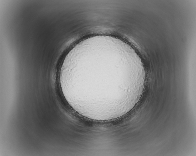 X0000110930679200907161539