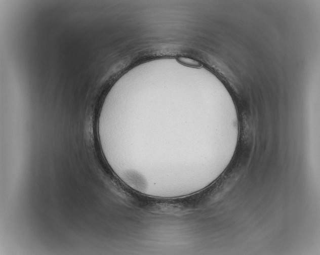 X0000110930681200907161539
