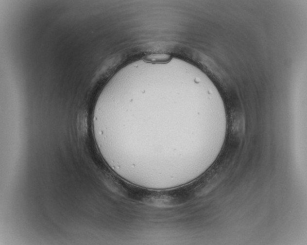 X0000110930685200907161539