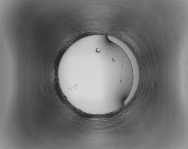 X0000110930693200907161539