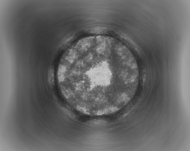 X0000110930696200907161539