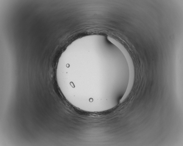 X0000110930701200907161539