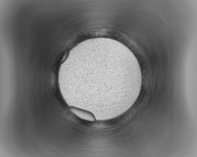 X0000110930704200907161539