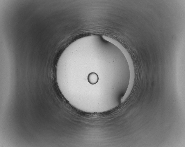 X0000110930705200907161539