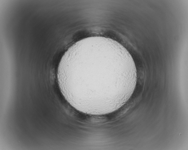 X0000110930707200907161539