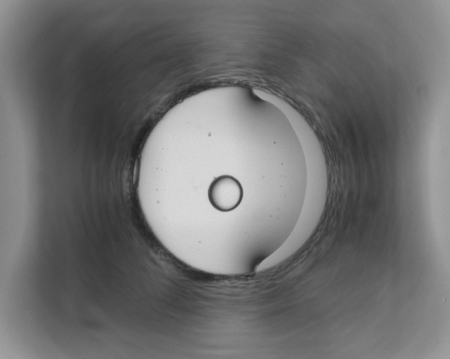 X0000110930708200907161539