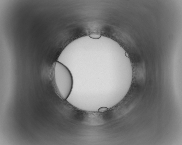 X0000110930709200907161539