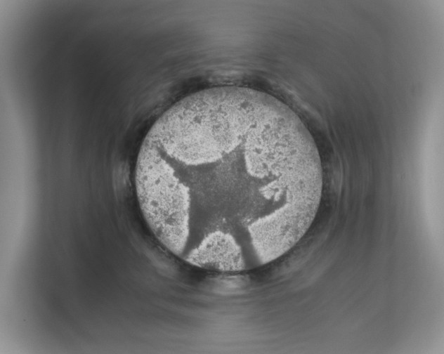 X0000110930711200907161539