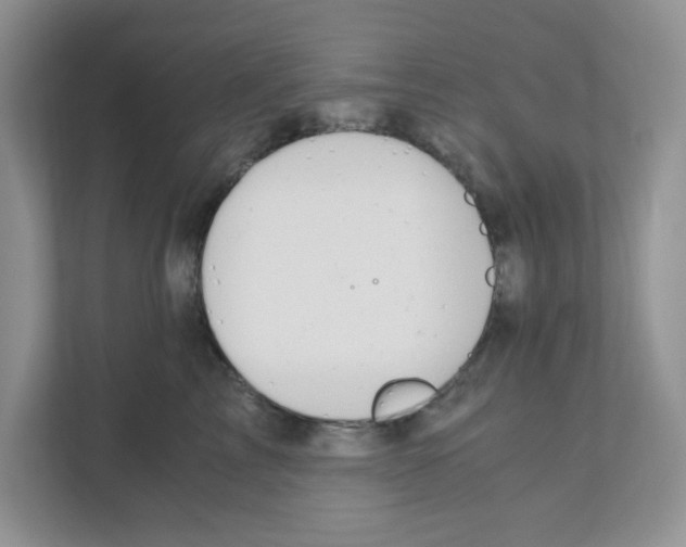 X0000110930713200907161539