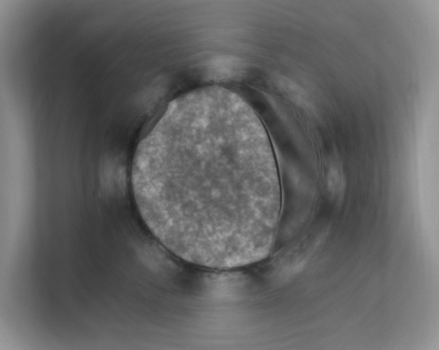 X0000110930716200907161539