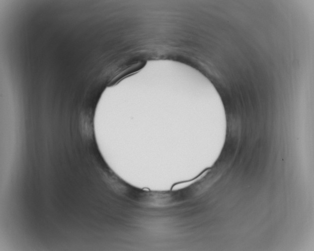 X0000110930719200907161539