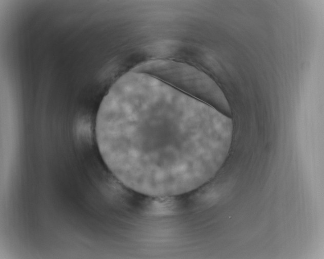 X0000110930720200907161539