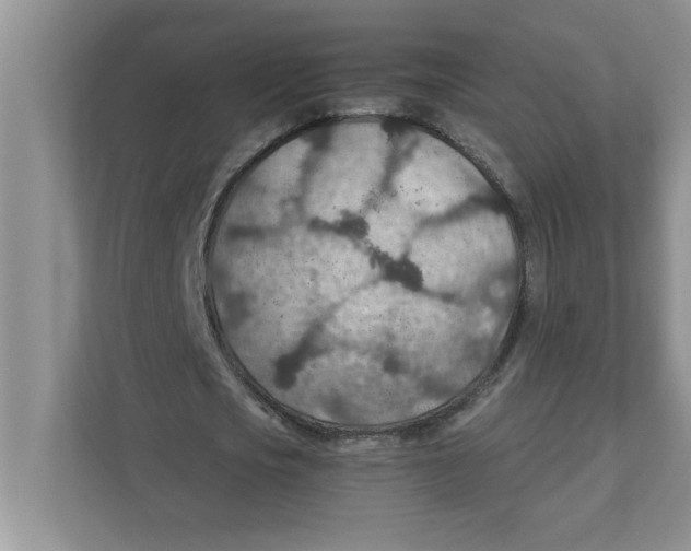 X0000110930721200907161538