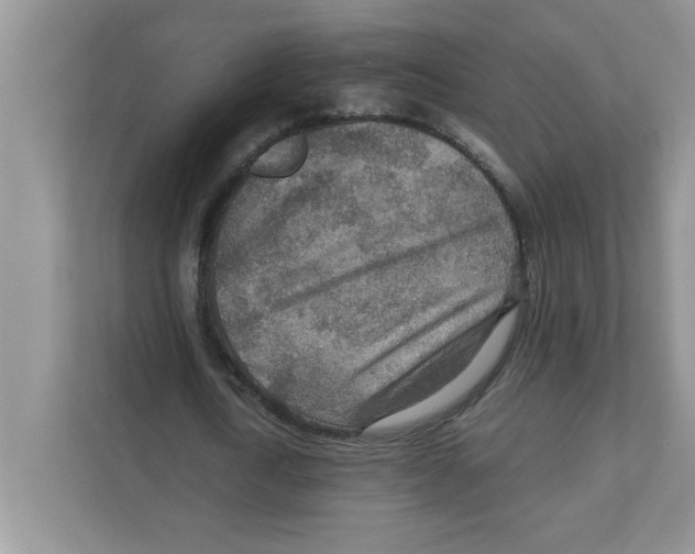 X0000110930722200907161538