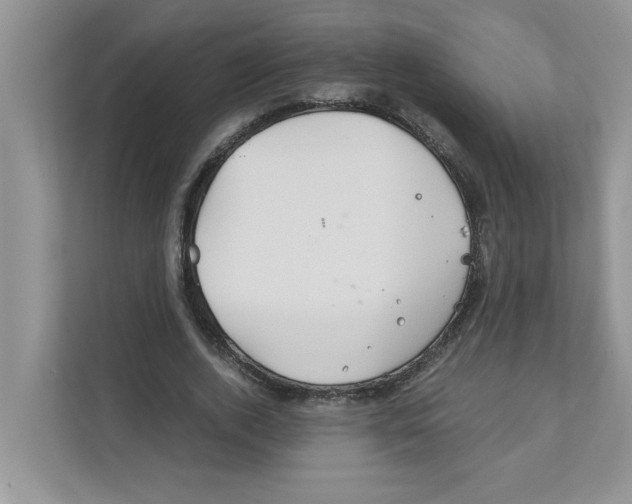 X0000110930728200907161538
