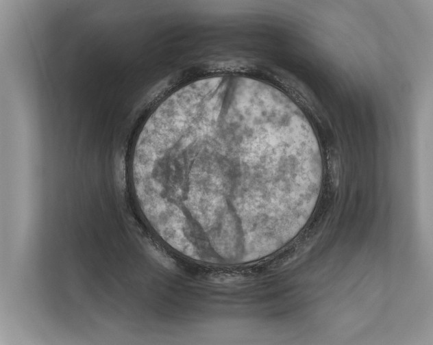 X0000110930729200907161538